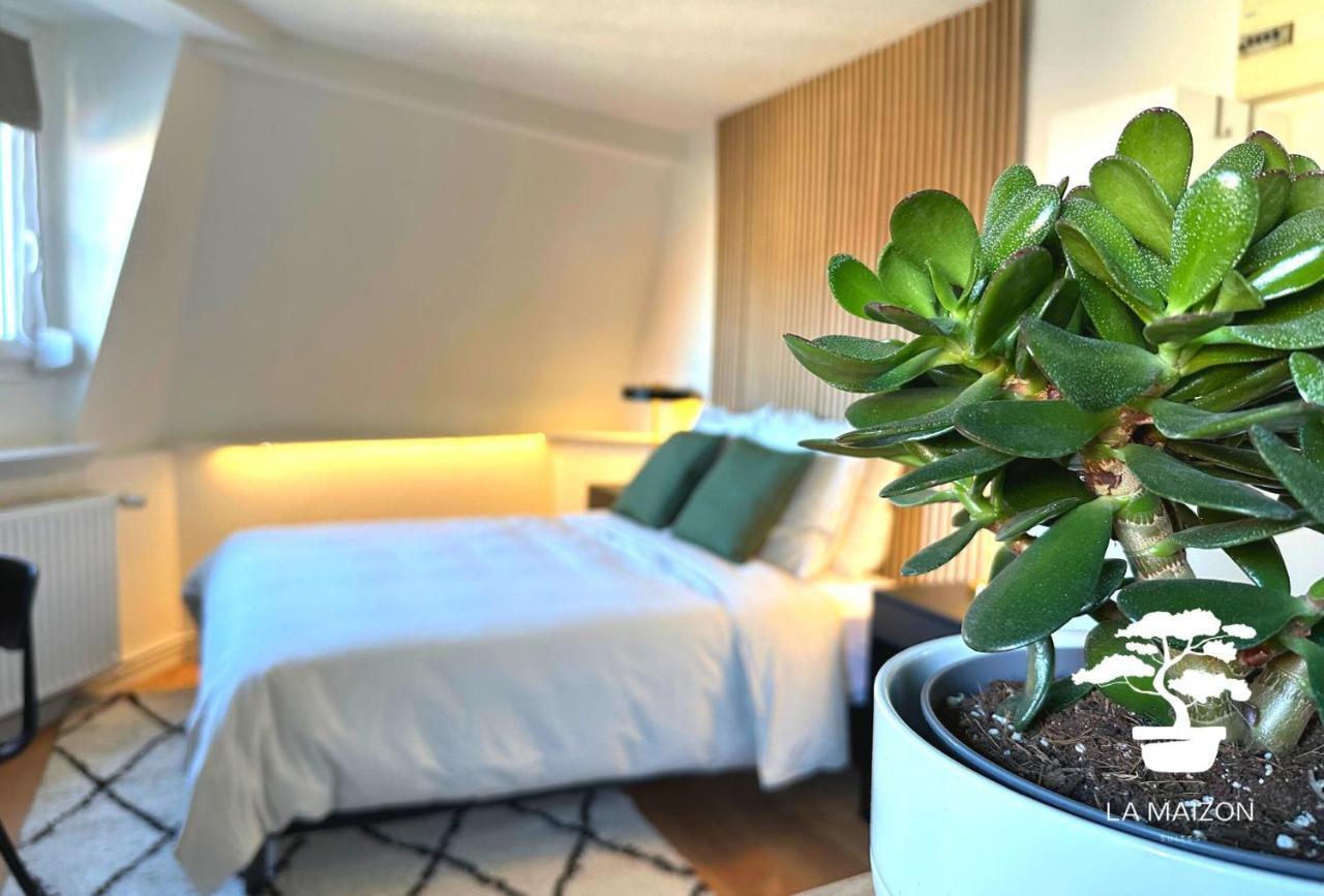 Suite Dernier Etage Saint-Maur 拉马德莱娜 外观 照片